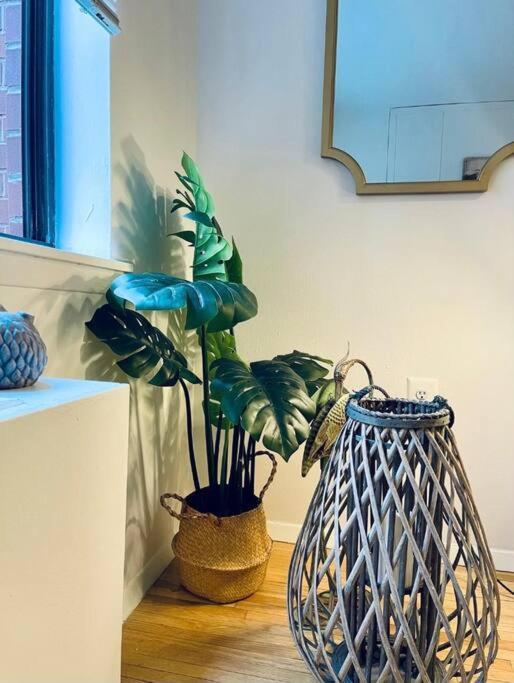 Cozy In Chelsea